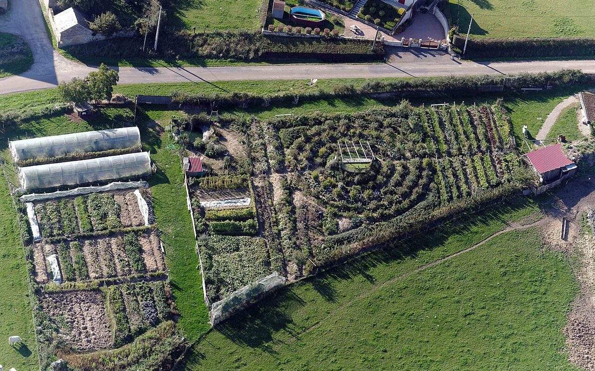 Vue aérienne d'un jardin pédagogique en permaculture, avec tunnels, planches de légumes et jardin en cercles concentriques