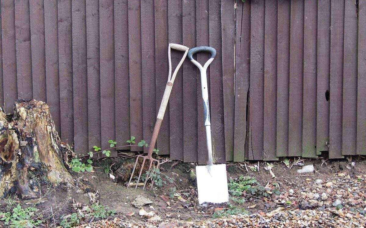 Bêche et fourche-bêche appuyées contre une palissade de jardin en hiver