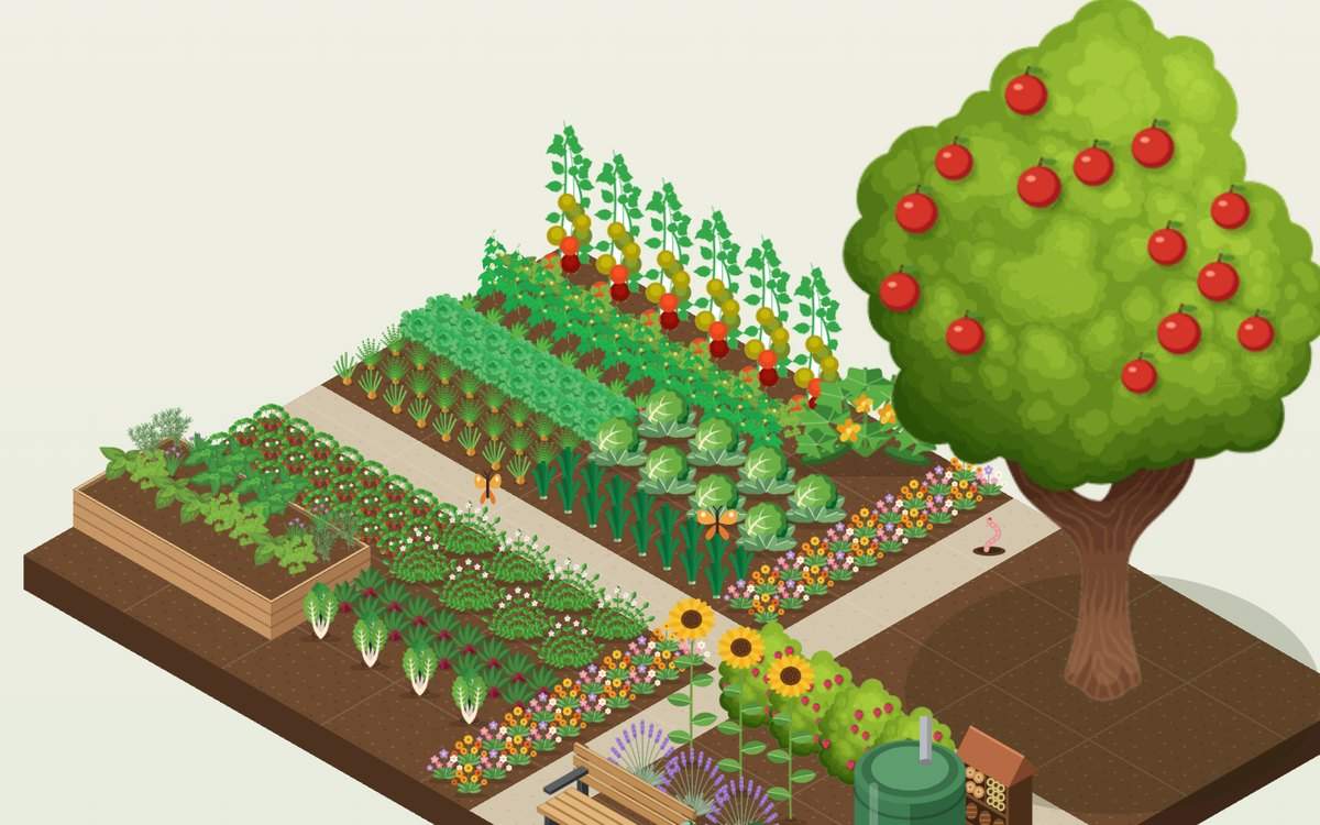 Vue 3D d'un potager de 44 m² dessiné dans Hortenia : tomates tuteurées, choux, poireaux, fraisiers, bac d'aromatiques, bordure fleurie et pommier