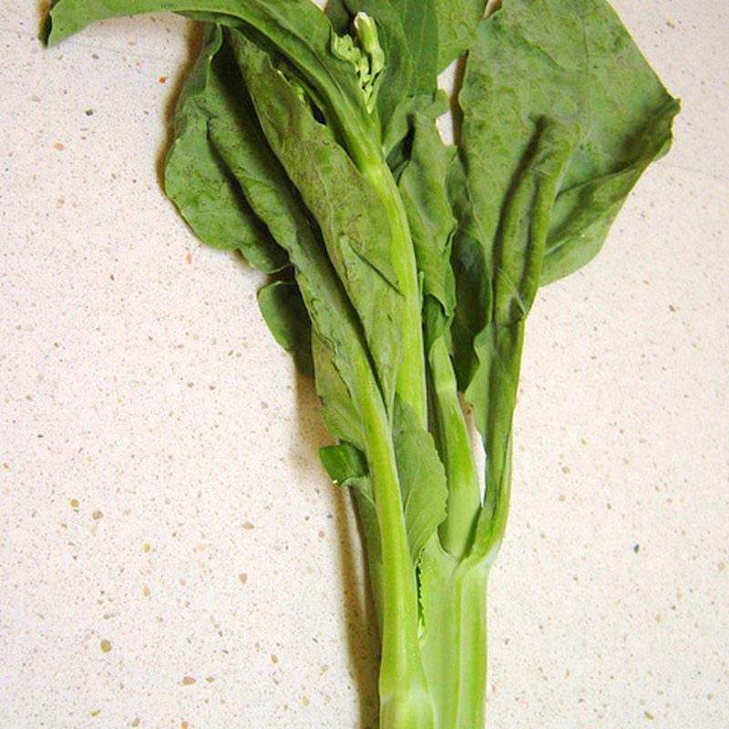 Brocoli chinois (Brassica oleracea var. alboglabra)