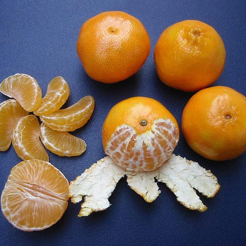 Clémentinier (Citrus ×clementina)