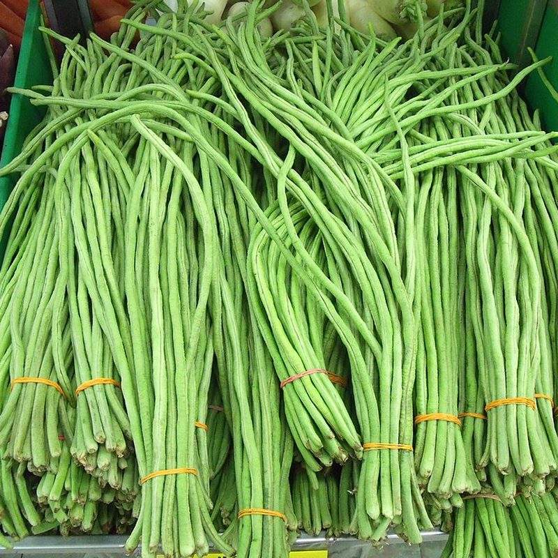 Dolique asperge (Vigna unguiculata subsp. sesquipedalis)