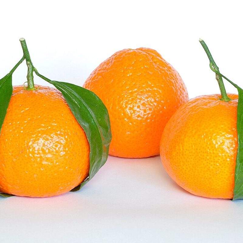 Mandarinier (Citrus reticulata)
