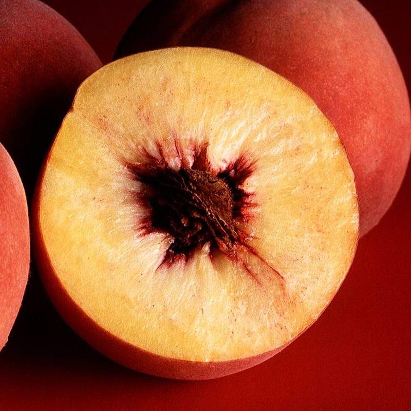 Pêcher (Prunus persica)