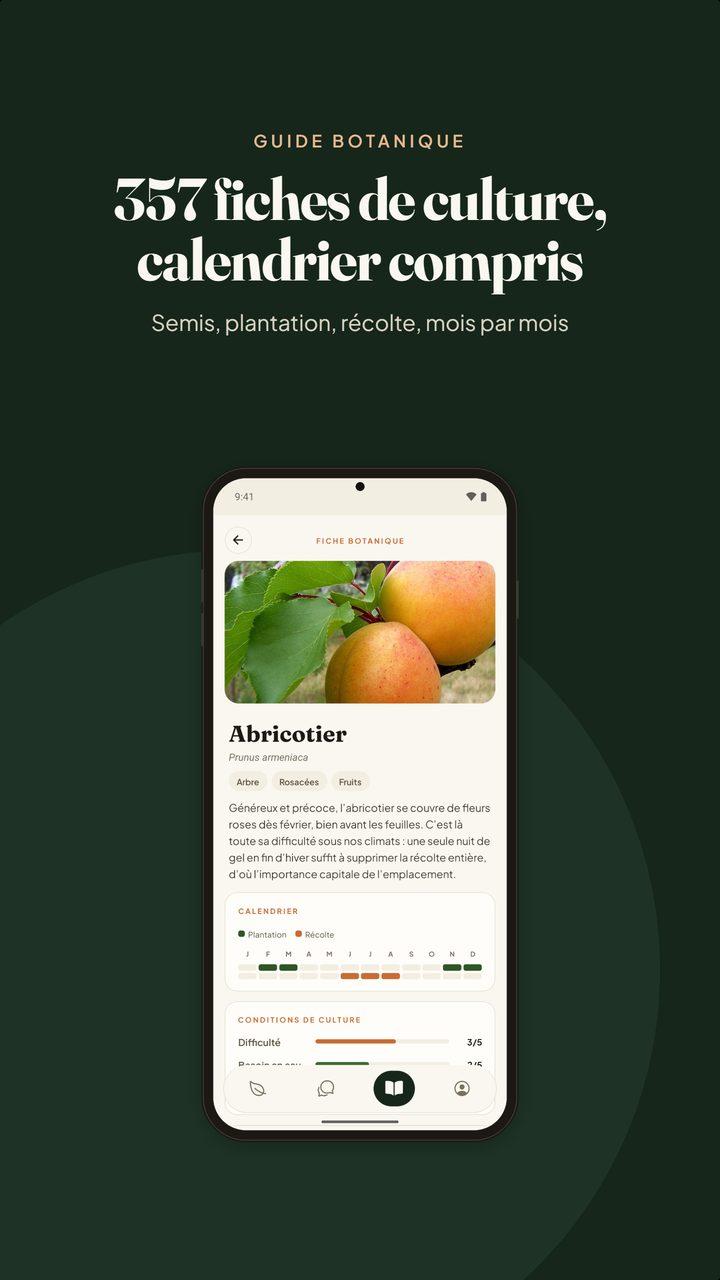 Une fiche botanique Hortenia : calendrier de plantation et conditions de culture
