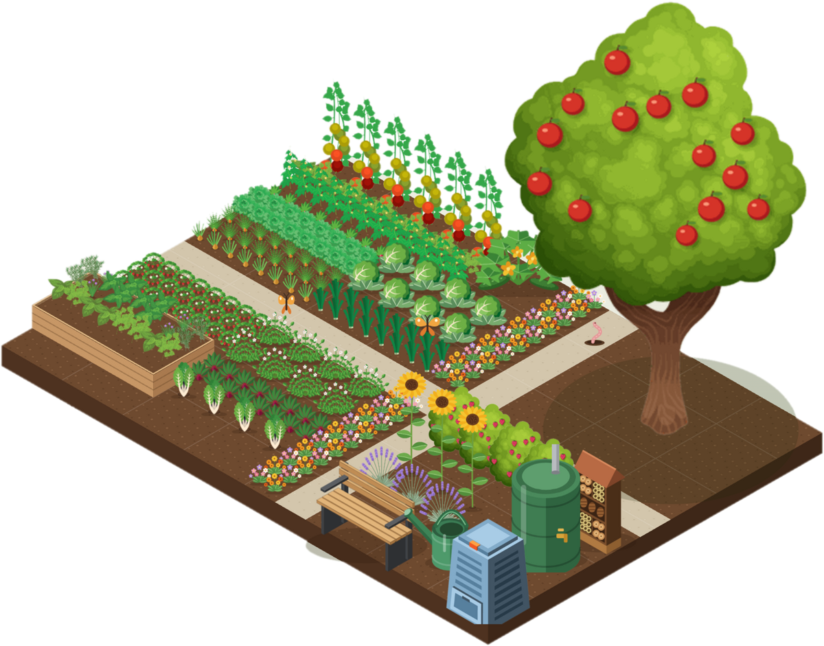 Le potager de démonstration en 3D dans Hortenia : planches de légumes, pommier, tournesols, banc, composteur et récupérateur d'eau