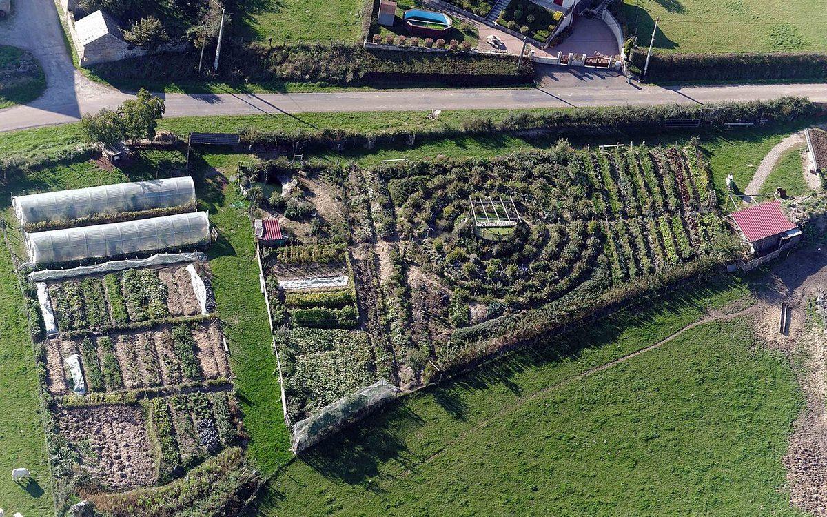 Vue aérienne d'un jardin pédagogique en permaculture, avec tunnels, planches de légumes et jardin en cercles concentriques