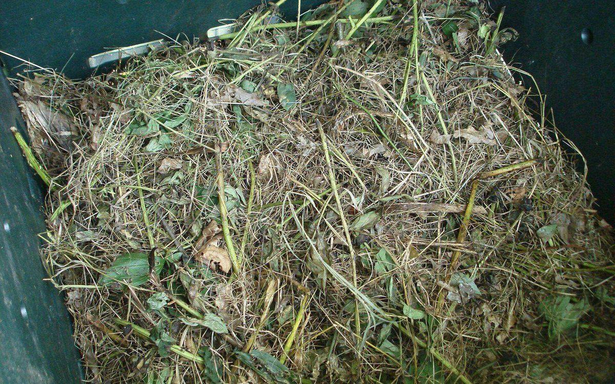 Tas de compost au jardin, matières brunes et vertes en cours de décomposition