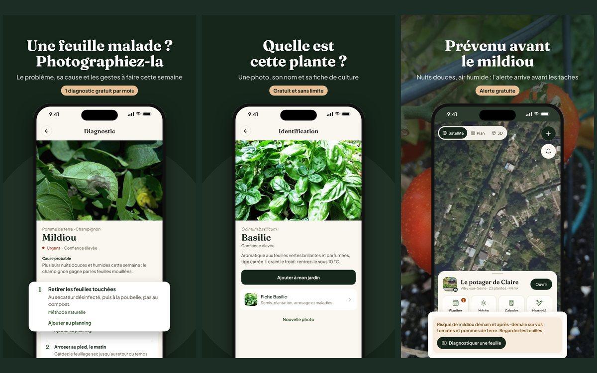 Le Diagnostic et l'identification par photo dans Hortenia, et l'alerte mildiou de la carte de la semaine
