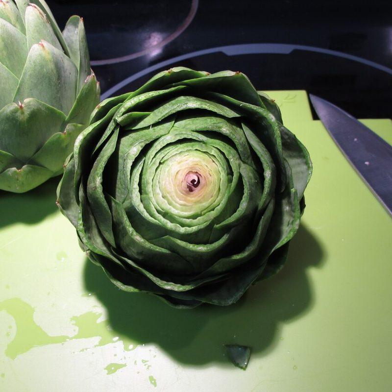 Artichaut (Cynara cardunculus var. scolymus)