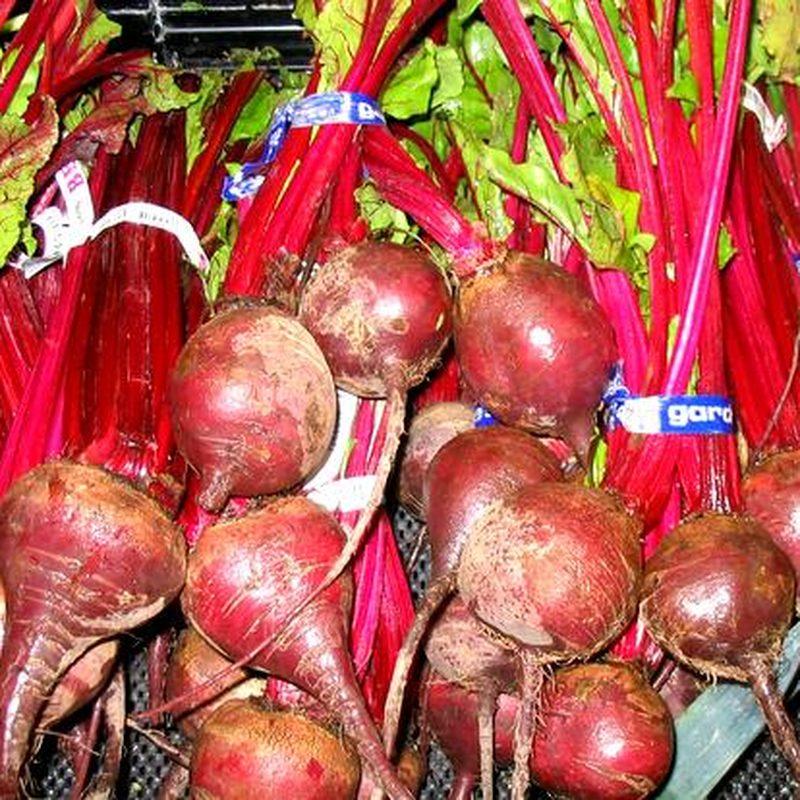 Betterave (Beta vulgaris subsp. vulgaris)