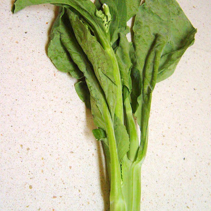 Brocoli chinois (Brassica oleracea var. alboglabra)