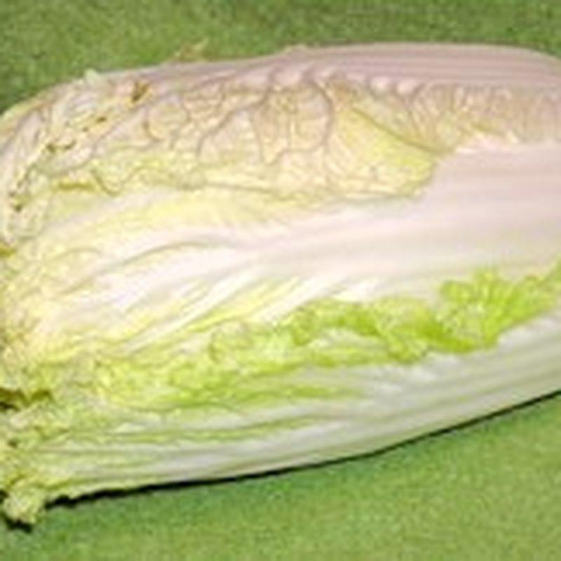 Chou chinois (Brassica rapa subsp. pekinensis)