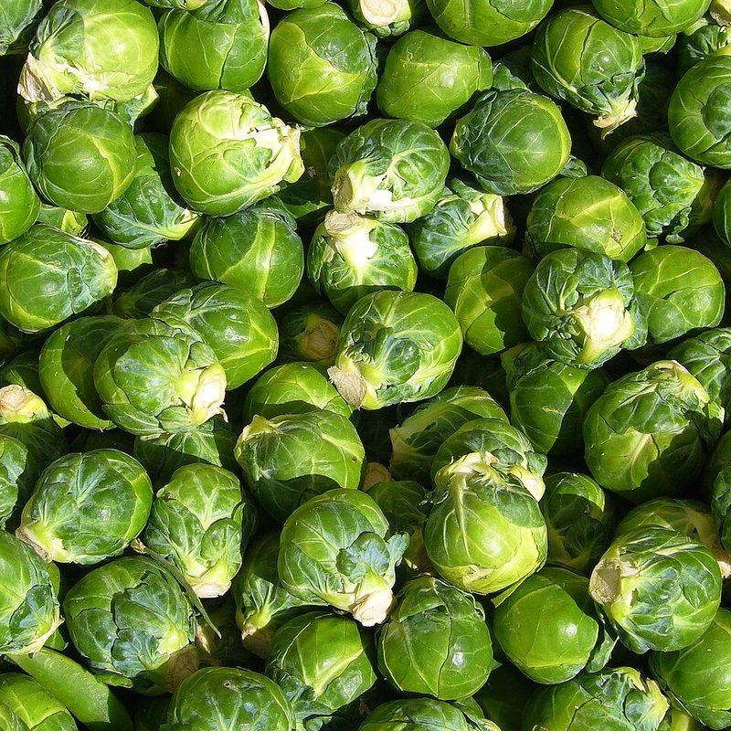 Chou de Bruxelles (Brassica oleracea var. gemmifera)