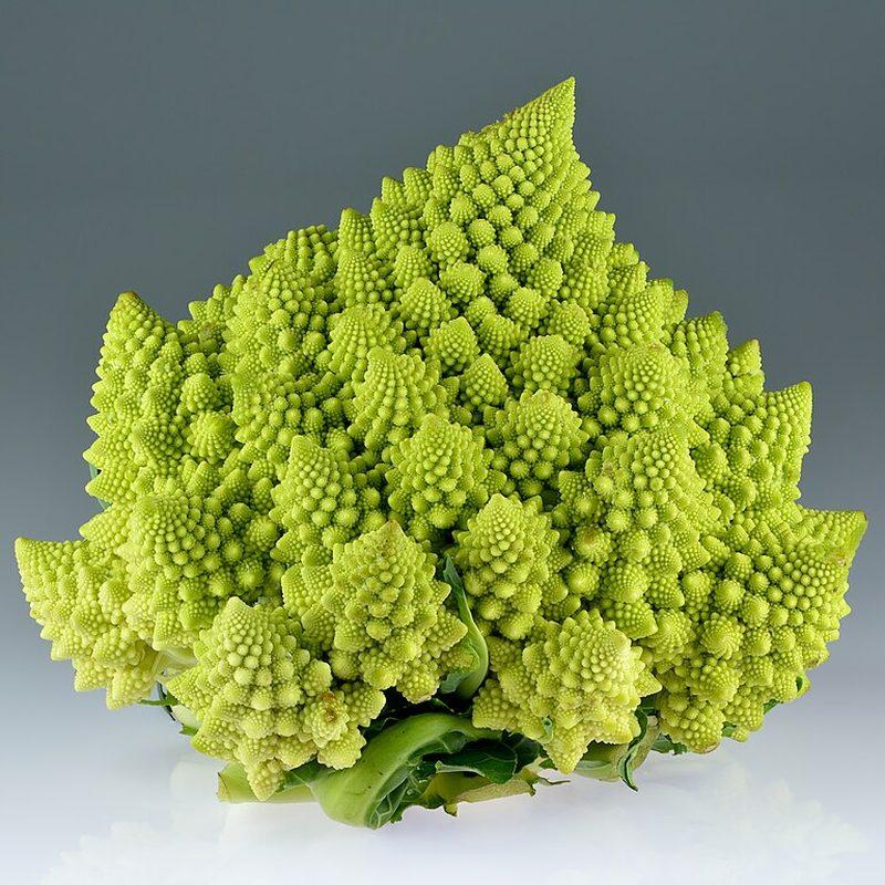 Chou romanesco (Brassica oleracea var. botrytis)