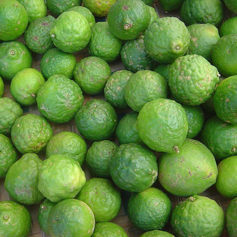 Combava (Citrus hystrix)