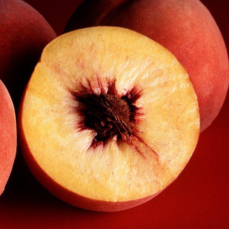 Pêcher (Prunus persica)