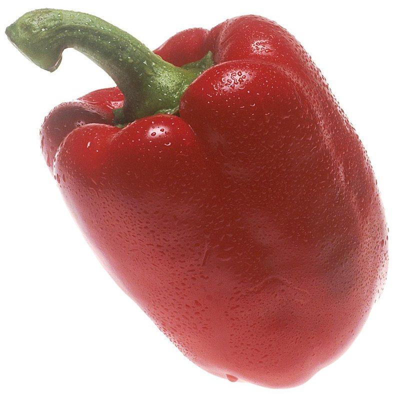 Poivron (Capsicum annuum var. grossum)