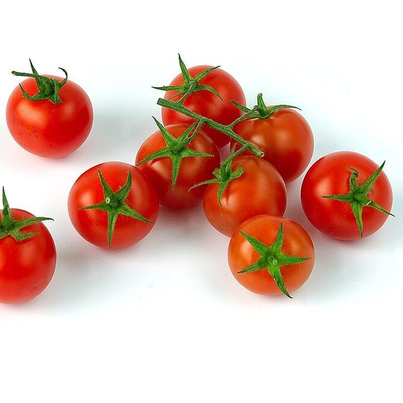 Tomate cerise (Solanum lycopersicum var. cerasiforme)