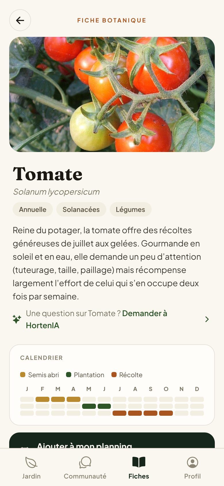 La fiche de culture de la tomate dans Hortenia