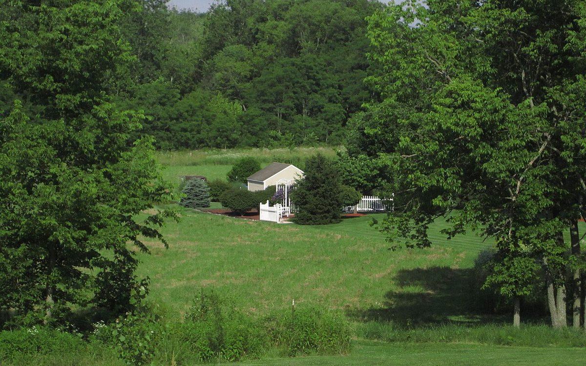 Jardin aménagé avec abri, arche blanche, massifs paillés et grande pelouse bordée d'arbres
