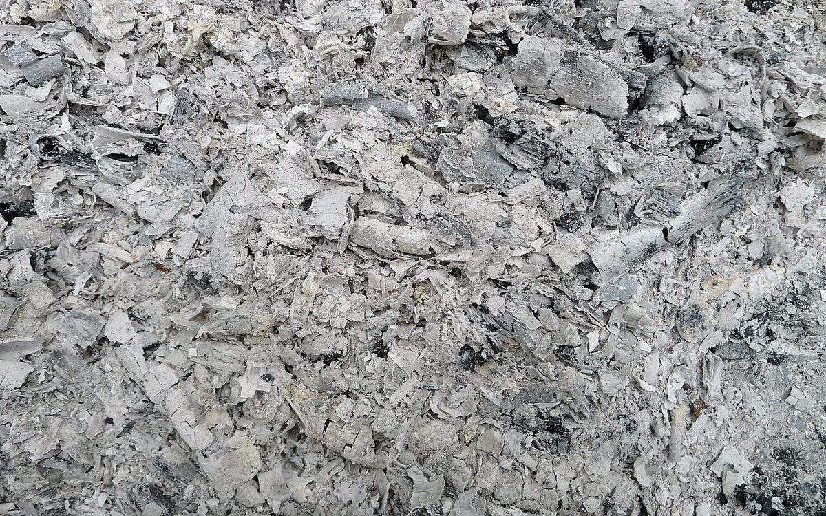 Gros plan sur de la cendre de bois grise et feuilletée, avec quelques morceaux de charbon noir