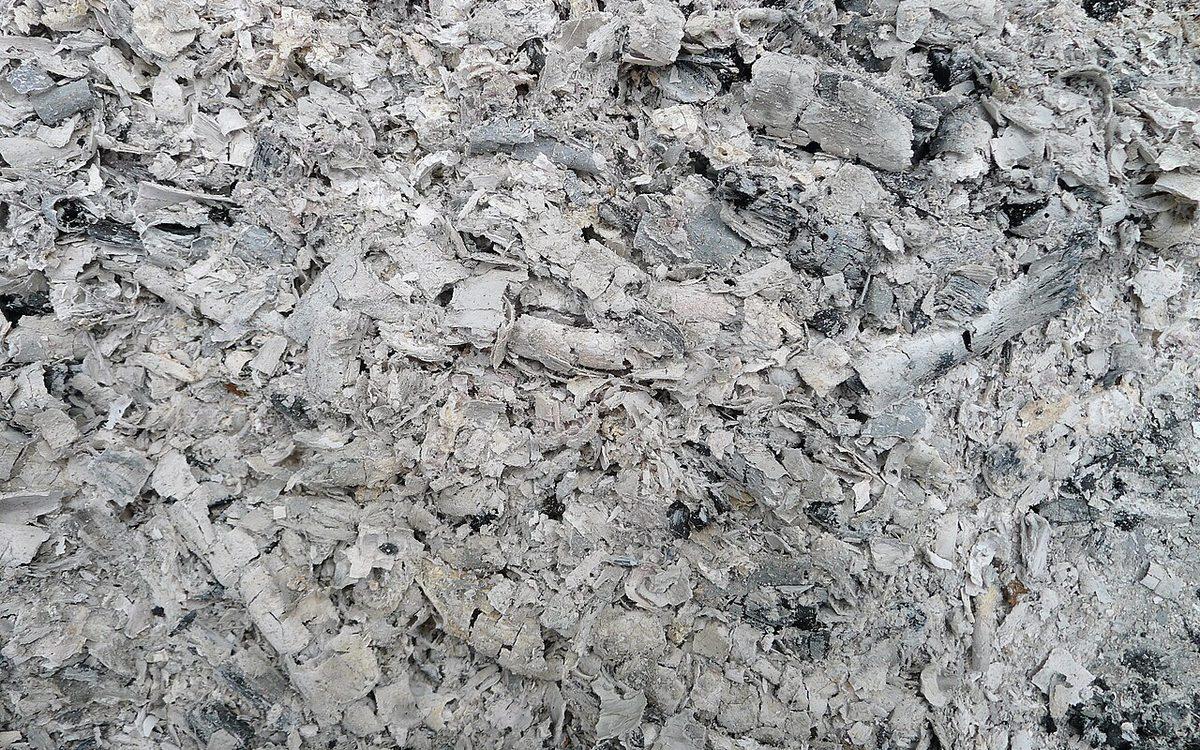 Gros plan sur de la cendre de bois grise et feuilletée, avec quelques morceaux de charbon noir