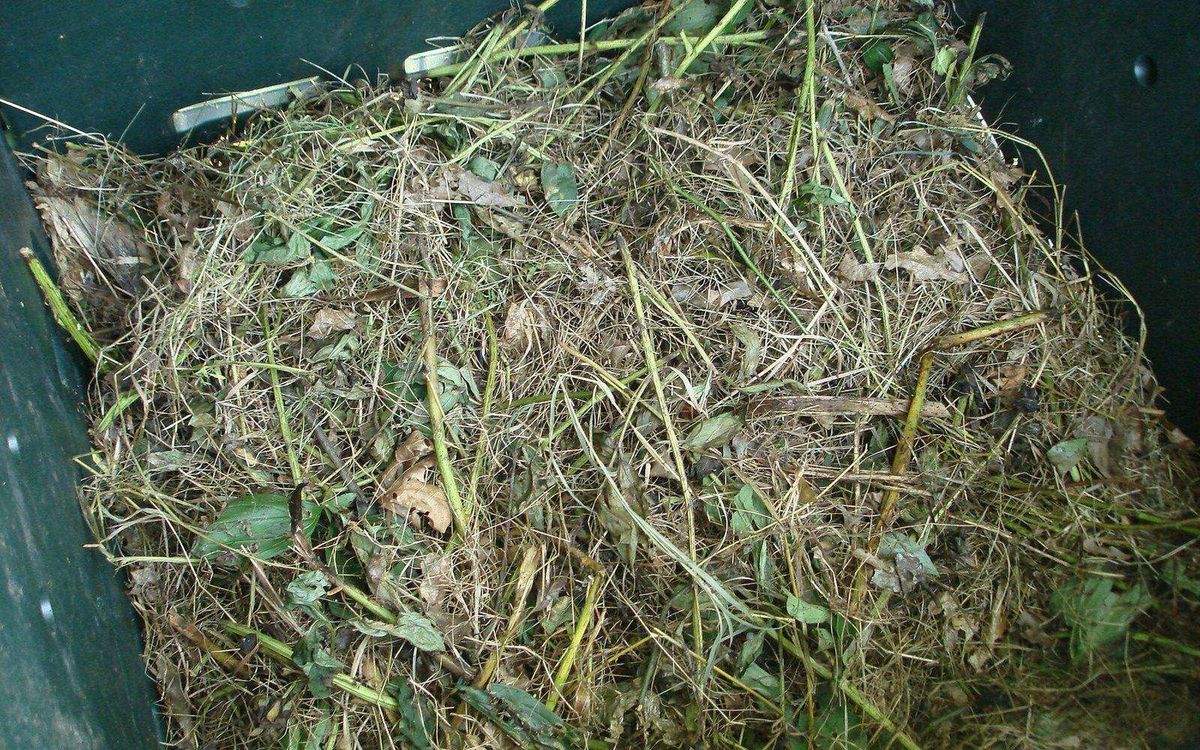 Tas de compost au jardin, matières brunes et vertes en cours de décomposition