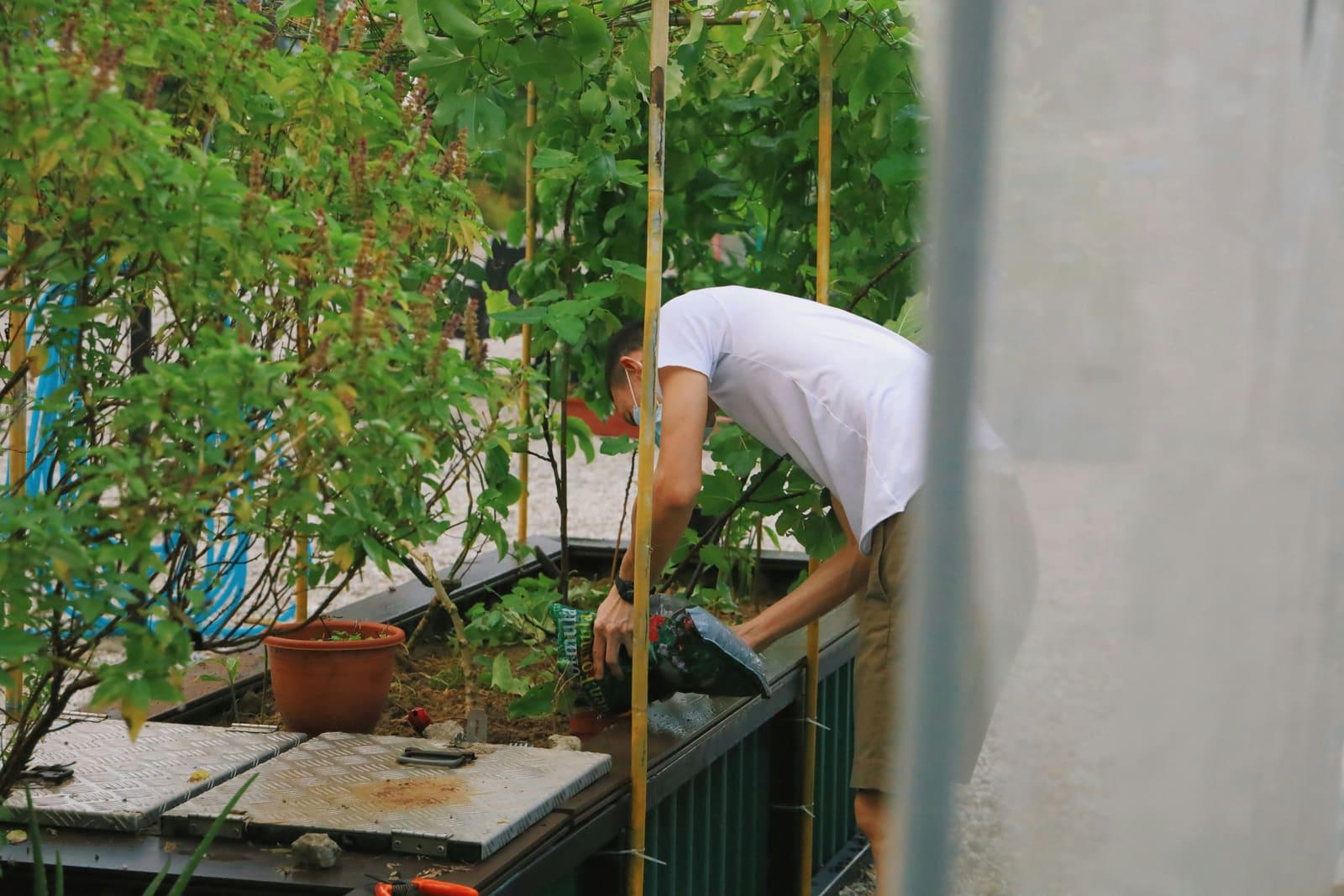 Jardins partagés en milieu urbain : bienfaits pour l’écologie et la santé mentale
