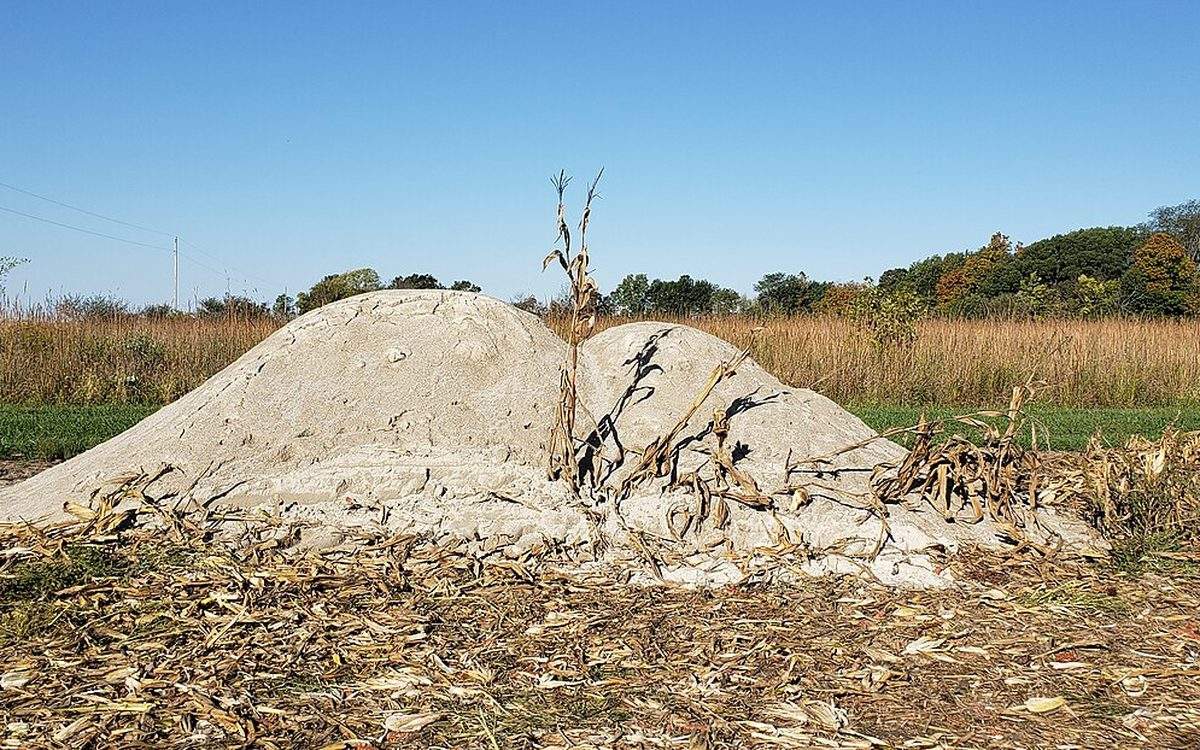 Tas de chaux agricole en poudre déposé sur une parcelle après la récolte, en automne