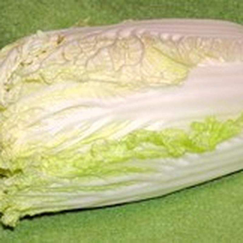 Chou chinois (Brassica rapa subsp. pekinensis)